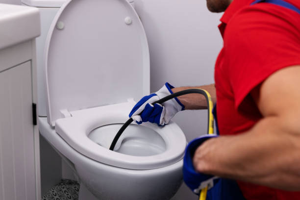 Best Plumbing Services Near Me  in Hlsboro, IL